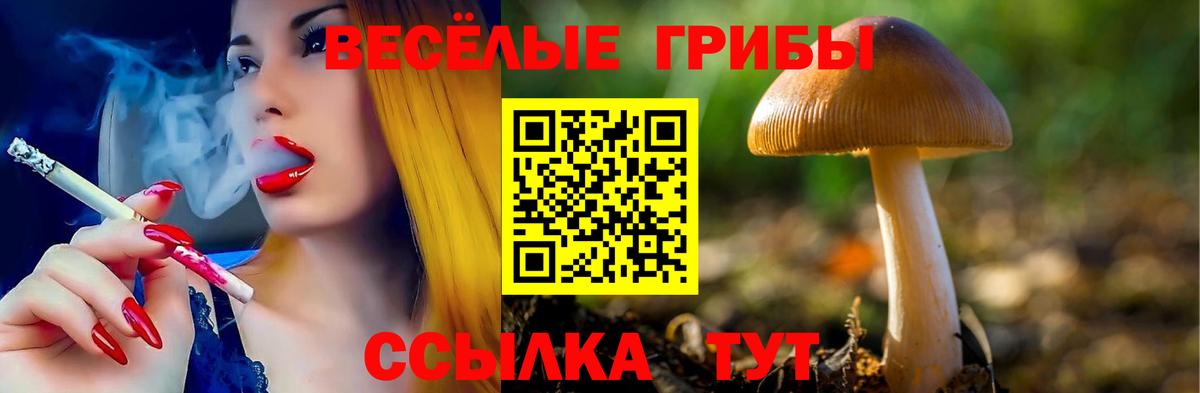 Галлюциногенные грибы Cubensis  Псилоцибиновые грибы Cubensis  Вход с VPN  хочу наркоту  Соликамск 