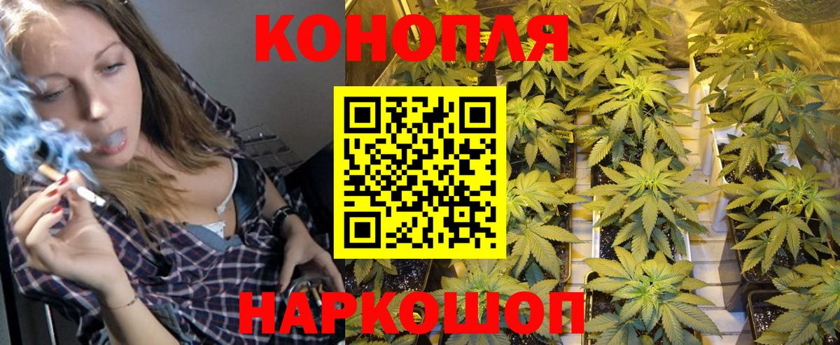 Каннабис сатива  Вход с VPN  Соликамск  Конопля план 